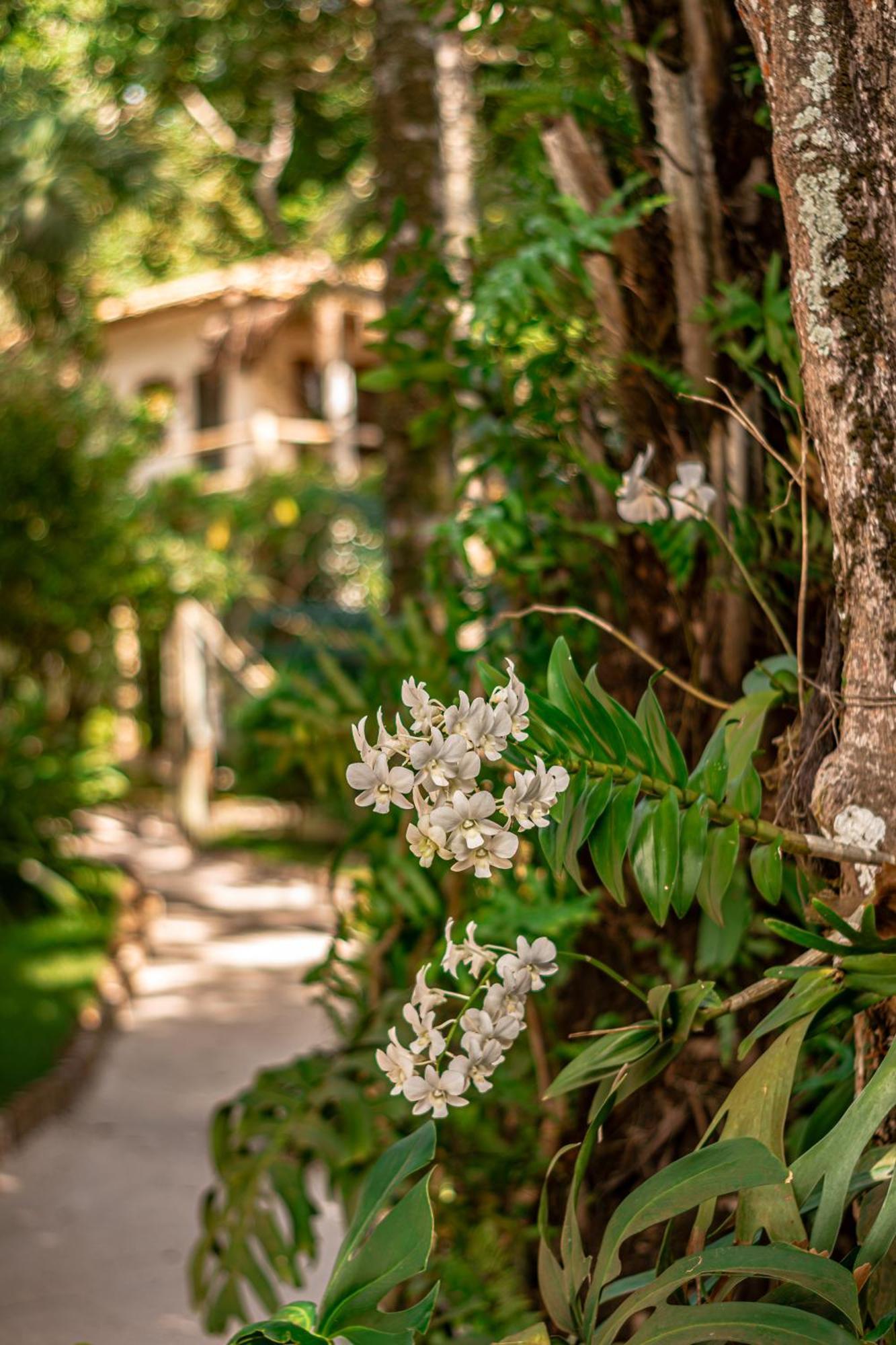 Hotel Boutique Bahia Bonita Trancoso Exteriör bild
